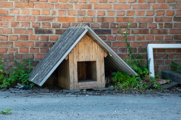 A weathered wooden dog house is positioned against a brick wall, surrounded by plants and debris in...
