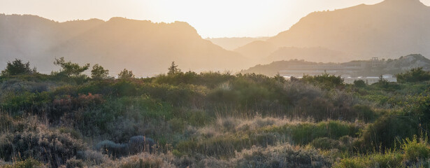 Naklejka premium Quiet wilderness as sanctuary — golden light drapes the untamed landscape, where cliffs and wild shrubs whisper the timeless rhythm of earth and breath. A path not hurried, but felt. Greece
