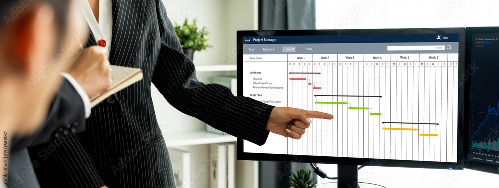 Poster project planning software for brisk business project management on the computer screen showing timel