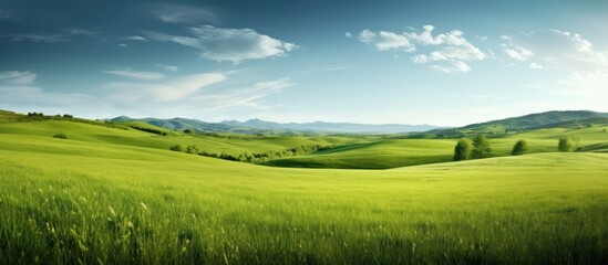 Fototapeta premium Green summer landscape with a blue sky, vast fields of grass, and distant hills under a panoramic view of nature