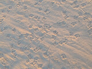 texture of the sand