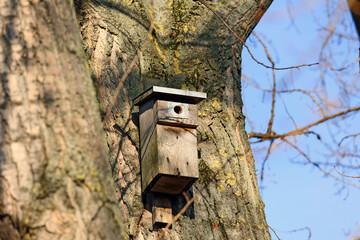 Bird house attached to a tree trunk in a park in a housing estate