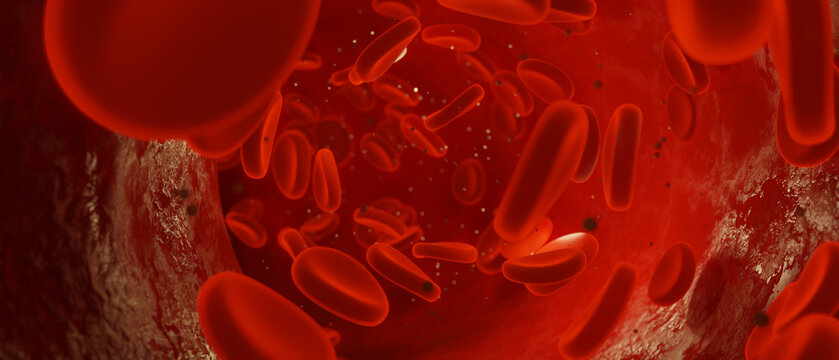 Microscopic View of Red Blood Cells Flowing Through Vein 3D Render