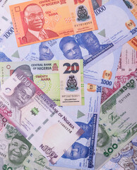 Nigeria money, naira, paper banknotes, cash. Nigerian money
