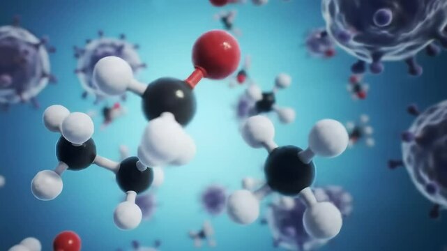 Detailed 3D Visualization of IgE and IgG Antibodies