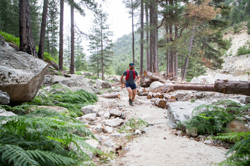 trail runner on a mountain path