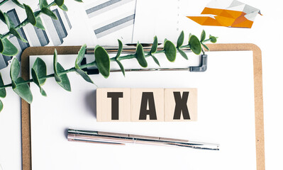Wooden blocks with word tax on clipboard with financial documents, green leaves and silver pen