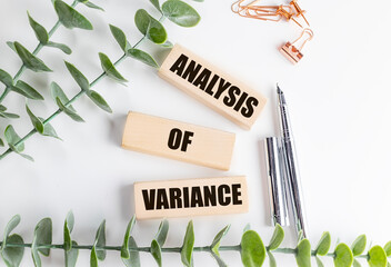 Wooden blocks with text analysis of variance on white background with green leaves, pens