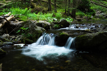 waterfall in the forest