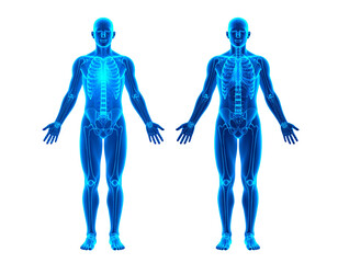 Digital twin hologram projection transparent background