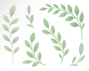 Delicate watercolor green leafy branches illustration in soft pastel style, perfect for nursery prints, baby shower invitations, greeting cards, and elegant celebration decorations Vector illustration