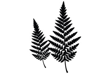 Naklejka premium fern leaves silhouettes vector collection on a white background 01