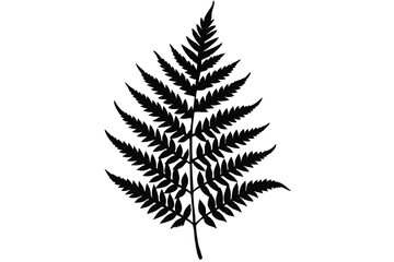 Naklejka premium fern leaves silhouettes vector collection on a white background