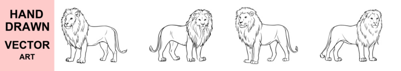Hand drawn vector illustration of majestic wild lion standing proud with detailed mane, black outline, perfect for wildlife and animal design themed artwork.