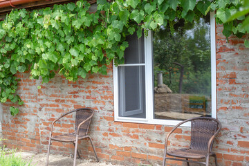 Charming house with brick wall decorated with lush foliage of grape vines creating a picturesque...