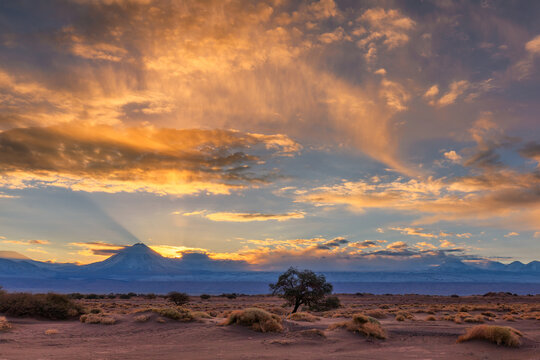 View of the arid landscape with a lone tree beneath a vibrant sunrise, its rays piercing through the clouds, painting the sky with fire, San Pedro de Atacama, Antofagasta, Chile. - Powered by Adobe