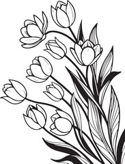 dense arrangement of tulips botanical illustration, tulips transparent background
