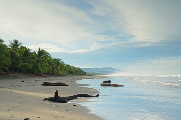 Matapolo beach in Savegre in Costa Rica