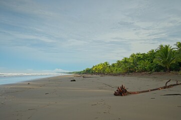 Matapolo beach in Savegre in Costa Rica