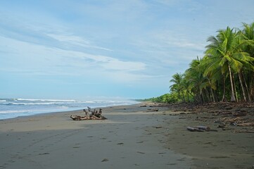 Fototapeta premium Matapolo beach in Savegre in Costa Rica
