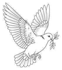 Obraz premium Dove of Peace with Olive Branch - Black and White Line Art Illustration