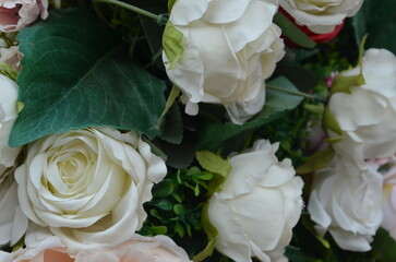 Close-up of delicate white roses with lush green foliage, a symbol of purity