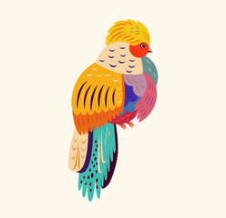 Vector colorful illustration with beautiful African bird. Art poster 
