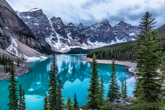 View of the turquoise lake mirroring the snow-capped mountains and dense evergreen forest under a cloudy sky, Moraine Lake, Alberta, Canada.