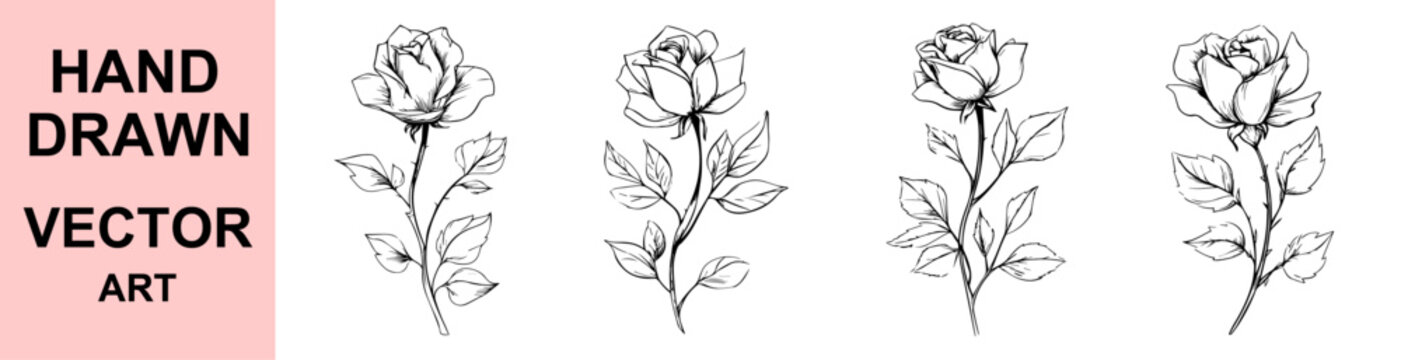 Hand drawn black and white rose flower vector sketch with leaves, elegant botanical floral design for tattoos, prints, stickers, crafts, romantic vintage projects