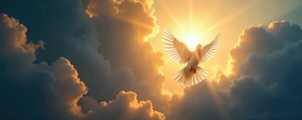 A single dove descends towards a radiant light, symbolizing hope, faith, and spiritual redemption Perfect for religious or inspirational projects , spiritual, worship