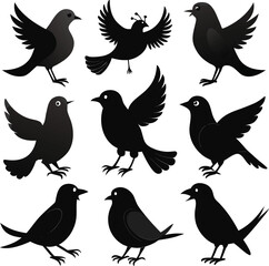Obraz premium Birds silhouette bundle vector A collection of 12 black silhouettes in various poses, including jumping, standing, sitting. Each silhouette is clean and minimal,contrast, no details inside the shapes,