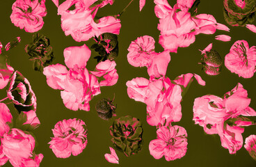 Bright pink flower heads digitally enhanced on a dark olive green background. Bold floral pattern...
