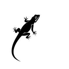 Fototapeta premium Lizard Silhouette: A bold black and white line art illustration of a lizard, showcasing its elegant form against a clean white background.
