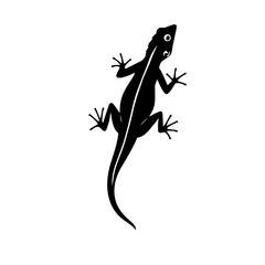 Fototapeta premium Lizard Silhouette: A striking monochrome line art illustration of a lizard, showcasing its elegant form against a white background. Simple yet sophisticated vector design.