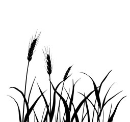 Wheat Field Silhouette: A stark black and white line art illustration showcases wheat stalks and grass against a white backdrop, creating a simple yet elegant natural scene.