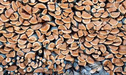 Close-Up of Stacked Logs in Woodshed
