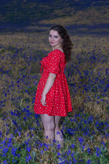 Beautiful woman posing in red dress in purple flower field at sunset