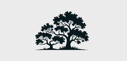 Silhouette of Two Large Trees with Lush Foliage