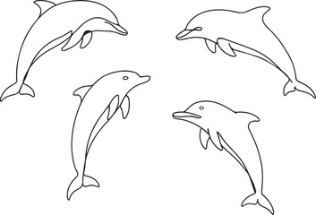 Dolphin line art design, Set of dolphins, vector illustration of dolphins.