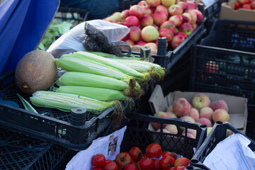 Horizontal photo. Tasty ripe fresh juicy raw vegetable, fruit, corn on cob, peach, melon, apples on counter of farm street city market stall. Grocery shop. Harvest season in Georgia