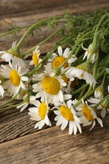 Beautiful chamomile flowers on wooden table, closeup