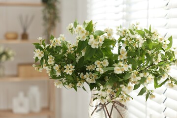 Bouquet of beautiful jasmine flowers in vase indoors, closeup