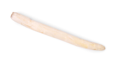One raw asparagus spear isolated on white