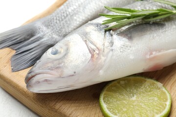 Fresh raw seabass with spices on white table, closeup. Fish and seafood delicacies