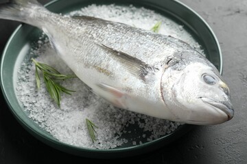 Fresh raw dourade fish, salt and rosemary in bowl on black table, closeup. Organic seafood