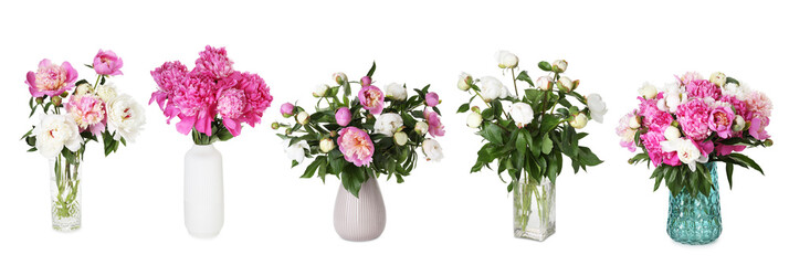 Peony bouquets in vases isolated on white, set