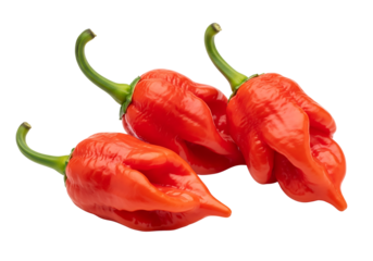 Three fresh red Ghost Peppers, Bhut Jolokia, one of the hottest chilies. Isolated on transparent background, png