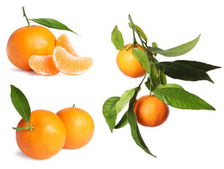 Tangerine fruits and leaves on white background, set