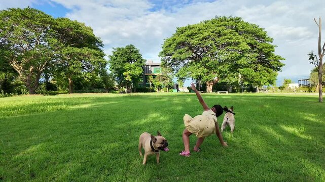 Southeast Asian girl doing side flips in a park while her two French bulldogs standing next to her