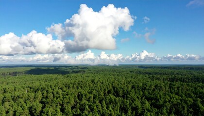 Panoramic view of a dense forest under a partly cloudy sky